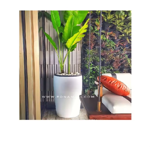 VELTO Premium FRP fibra de vidrio diseño clásico jardín guardería hogar compras blanco mate interior/exterior maceta Kit - Product Image 3