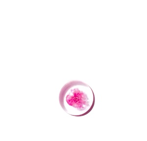 Flor de Gypsophila, Espécimen Real en Cabujón de Plástico Redondo de 13x13 mm, Base Plana Transparente para Manualidades y Joyería - Product Image 2