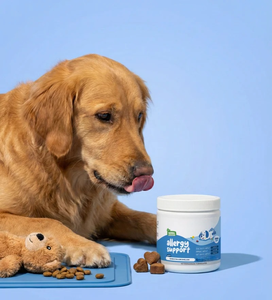 Friandises à Mâcher Naturelles pour Chiens : Soutien Cutané et Pelliculaire, Soulagement des Démangeaisons, Renforcement Immunitaire, Complément Alimentaire Premium pour Animaux - Product Image 5