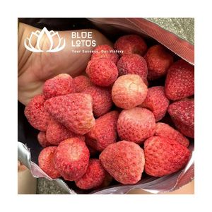 Fraises lyophilisées éco-responsables les plus vendues, fruits croustillants, qualité export durable - Product Image 1