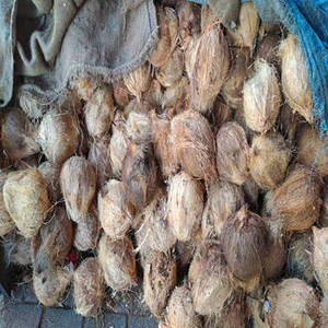 New Season Indian Organic Desiccated <b>Coconut</b> <b>Flakes</b> with Sweet Taste Clean Appearance and Wholesale Packaging - Product Image 1