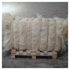 Fibre de sisal naturelle de qualité supérieure pour l'exportation en vrac, pour la production de cordes, de tapis et de nappes - Product Image 6