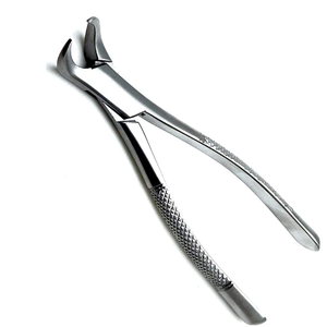 Extractor Dental Médico, 10 Piezas, Elevador de Dientes, Pinzas de Extracción de Dientes, Elevador de Acero Inoxidable para Uso Dental - Product Image 1