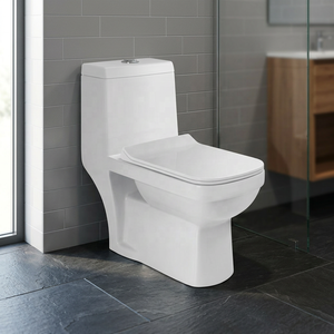 CE Certified Floor Mounted One Piece Ceramic Toilet With High-Efficiency Siphonic Flushing For Architectural Projects - Product Image 4