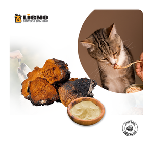 Chaga <b>Mushroom</b> Powder for Dogs & Cats - Antioxidant Rich Pet Health Ingredient, Veterinary Grade - Malaysia - Product Image 1
