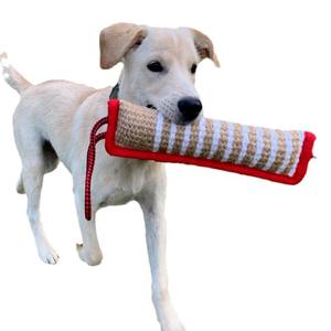 Jouet pour chien en corde de jute fait main – Jouet à mâcher en fibre naturelle résistante pour chiots et chiens, jouet pour animaux de compagnie sûr et biodégradable - Product Image 3