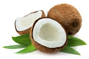 Coco Deshidratado Vegano 100% Natural para Productos Alimenticios a Base de Plantas - Product Image 5