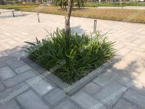 หินปูพื้นบลูสโตนแบบบุชแฮมเมอร์ ขอบขัดเงา สำหรับจัดสวนภายนอกอาคาร - Product Image 4