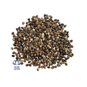 Semillas de Papaya Secas de Primera Calidad, Procesamiento Limpio, Ideales para Cocinar y como Especias, Realzan el Sabor - Product Image 1