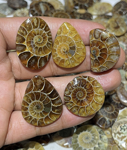 Cabochons en ammonites fossiles naturels de formes variées pour pendentifs et bagues en argent, et pierres fossiles de haute qualité en vrac pour l'exportation mondiale - Product Image 1