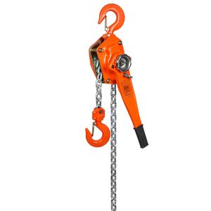 Paranco a Catena Manuale da 20 Piedi con Capacità di 6600 Libbre, Freno a Doppia Zampa Weston e Acciaio al Carbonio Zincato G80 - Product Image 1