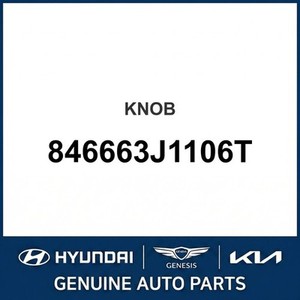 ix55 New Other <b>Car</b> & Truck Parts & <b>Accessories</b> 846663J1106T - Product Image 1