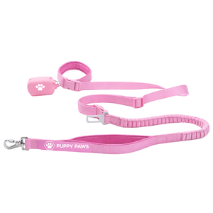 Laisse multifonctionnelle mains libres pour chien avec porte-sac à déjections et dégradé de couleurs, laisse de promenade réglable - Product Image 5