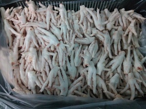 Pattes de poulet surgelées les plus vendues, qualité A, pieds de poulet nettoyés, peau jaune éliminée, pour la vente en gros et l'exportation - Product Image 5