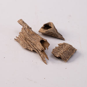 Oud Wood for Incense Burning - Product Image 5