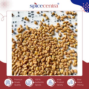 Fournisseur expérimenté proposant des graines de fenugrec entières, 100% pures, biologiques, séchées, de haute qualité, marque Spicecentra, exceptionnelles - Product Image 6