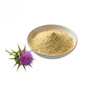 Poudre de chardon-Marie séchée naturellement, idéale pour les mélanges à base de plantes et les boissons – Fournisseur en gros de poudre de chardon-Marie en vrac d'Inde - Product Image 5