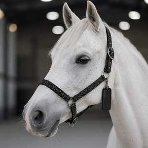 Silla de Montar Inglesa Rub International de Tamaño Personalizado, Ajustable y Anatómica, con Cabestro de Cuero Puro y Diseño Inteligente para Montar a Caballo - Product Image 1