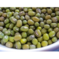 Haricot Mungo Vigna Radiata de Qualité Supérieure pour la Cuisson, la Germination et la Transformation Alimentaire, Disponible à l'Exportation