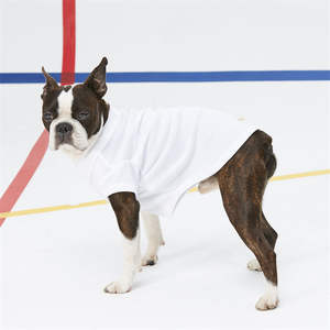 ODM Full Customized Design Taiwan Plain Polo Cotton <b>Dog</b> <b>Shirt</b> - Product Image 6