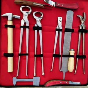 Kit de herramientas de herrador para el cuidado de caballos de calidad premium - Product Image 1