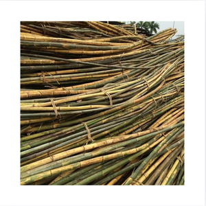 Poteaux en rotin naturel, forme de canne, diamètre 2m, longueur 200cm, origine Vietnam Quang Binh, marque 99GD, modèle Emma, artisanat de meubles - Product Image 1