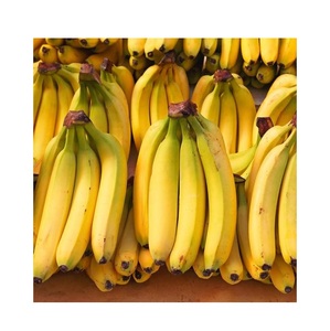 Grossiste et fournisseur de bananes Cavendish vertes fraîches, meilleure qualité, meilleur prix d'usine, achat en gros en ligne - Product Image 3