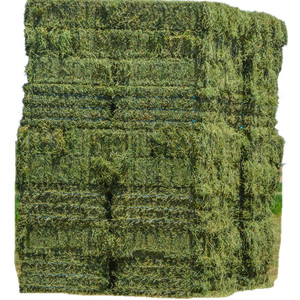 Heno de Alfalfa de Primera Calidad para Caballos y Ganado, Origen Reino Unido, 2 Años de Vida Útil - Product Image 1