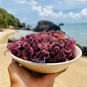 สาหร่ายทะเลสีม่วงออร์แกนิค 100% แบบดิบ ไม่ผ่านการแปรรูป (ไอริชมอส) สาหร่ายทะเลอบแห้งปรุงรสจากเวียดนาม/ คุณอัลินา - Product Image 6
