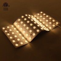 Feuille LED souple monocouleur à haute transmission, lumière douce et respectueuse des yeux, idéale pour l'éclairage domestique et les halls d'exposition