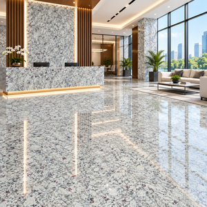 Granito Blanco Luna, Losa de Encimera Cortada a Medida, Piedra Pulida, Moderna y Duradera, para Pisos, Alféizares, Sala de Estar, Cocina e Isla - Product Image 2