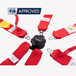 Track Ready TBRACING Sport Plus 2 Racing Harness Seat Belt FIA Approved 8853 2016 Custom Logo OEM ODM Bulk Supply - Product Image 2