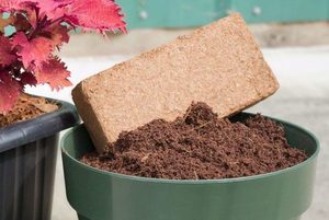 Wholesale Low EC Coco Peat <b>Block</b> Natural Coconut <b>Coir</b> Growing Medium for Hydroponics and Horticulture - Product Image 5