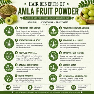 Polvo de Amla Orgánico al por Mayor, Suplemento Herbal 100% Puro y Natural, Polvo de Grosella India Rico en Vitamina C y Antioxidantes - Product Image 5
