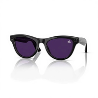 Lunettes intelligentes RayBan avec IA