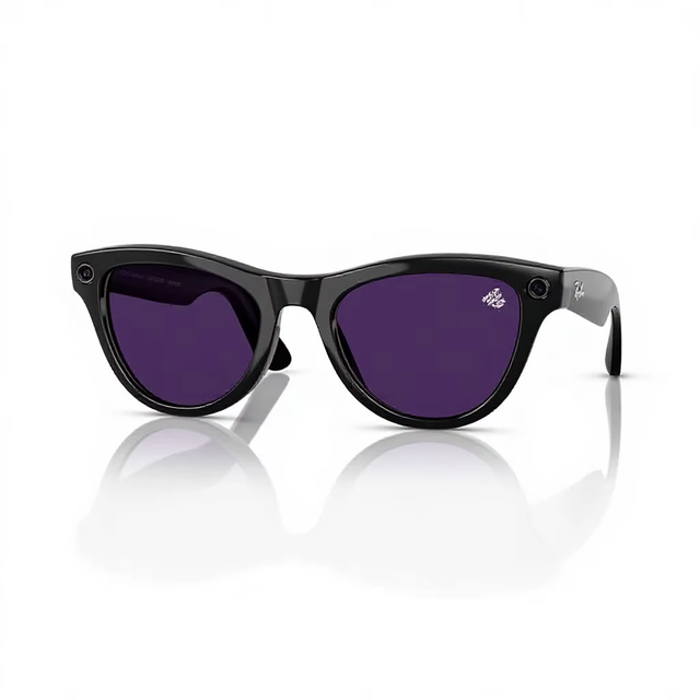 RayBan Smart AI Glasses