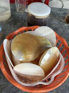 แผ่นเปลือกหอยมุกสีทองจากเวียดนาม เปลือกหอยธรรมชาติมันวาว สำหรับเสิร์ฟซาชิมิ ไข่ปลาคาเวียร์ ใช้เป็นที่ใส่เครื่องประดับ และของตกแต่งงานแต่งงาน - Product Image 5