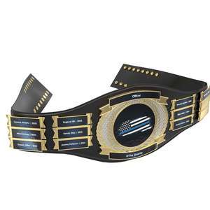 Cinturón de Campeonato Internacional Ronpex de Alta Calidad Personalizable para Boxeo y Lucha Libre, Material de Latón, Zinc y Cuero, Unisex - Product Image 4