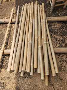 Vietnam Bamboo Poles <b>Stakes</b> Bundle 1-10m Long Solid Thick <b>for</b> Agriculture and Construction Home Decorate Bamboo Canes Long Thick - Product Image 5