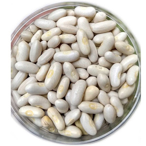 Wholesale High Grade Natural Organic Sugar White Kidney <b>Beans</b> Bulk Dried White Kidney <b>Beans</b> Top 100% Organic White Kidney <b>Beans</b> - Product Image 2