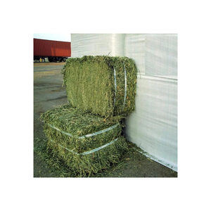 Heno de Alfalfa Curado al Sol de Alta Calidad, Alimento Comercial para Ganado, Ovejas, Cabras y Caballos, OEM Disponible - Product Image 1