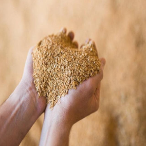 Harina de Proteína de Soya Lista para Usar con 46% de Descuento, Grado Alimenticio, Baja Humedad, Importada, 25kg/saco, para Peces, Perros, Cerdos y Ganado - Product Image 2