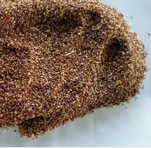 Exporter of Mimosa Pudica Powder - Product Image 1
