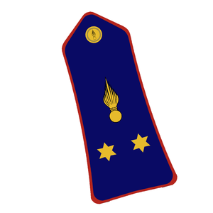 Épaulettes en tissu personnalisées brodées, écussons d'épaule durables avec détails tressés pour uniformes, tenues de défilé et occasions formelles - Product Image 3