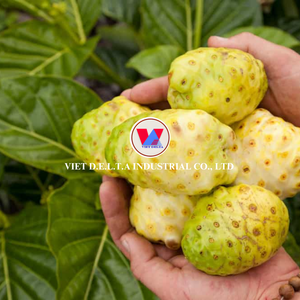 Jus de fruit de noni naturel premium du Vietnam, 100% pur fruit tropical - Product Image 6