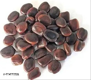 Dried Tamarind Seeds 250 gram pack Raw <b>Herbal</b> Extract Seeds for Health Food Plant Based <b>Supplement</b> Ingredient pack of 250 gram - Product Image 4
