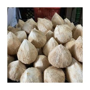 Noix de coco semi-décortiquée de qualité supérieure, prix de gros abordable, couleur claire, peau brillante, qualité premium, approvisionnement en vrac direct usine, OEM - Product Image 1