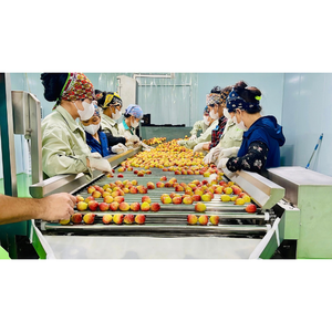 Litchis surgelés IQF de haute qualité, sans sucre ajouté, fruit tropical sucré, emballés sous vide, en vrac pour la transformation alimentaire commerciale - Product Image 2