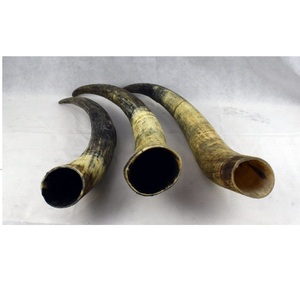 Polished Buffalo Horn decorative Unique Carved Animal Style Handicraft Natural <b>Raw</b> Horn Decoration items - Product Image 5