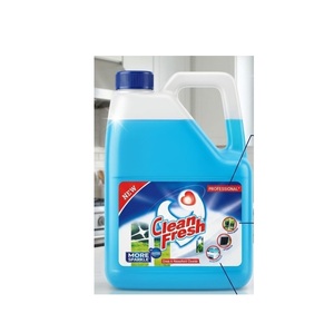 Offre Spéciale sur le Nettoyant Vitres et Surfaces en Verre 5L, Sans Traces et Brillant, pour la Maison, le Bureau et l'Usage Commercial, Disponible à la Vente - Product Image 1